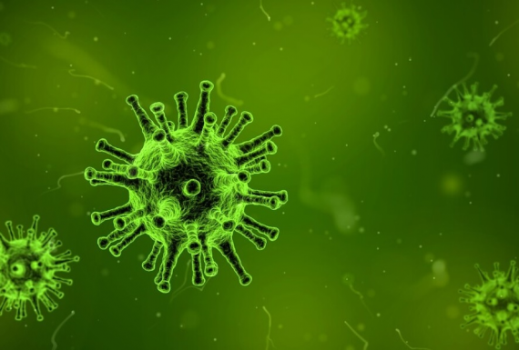 COVID-19 virus (corona)